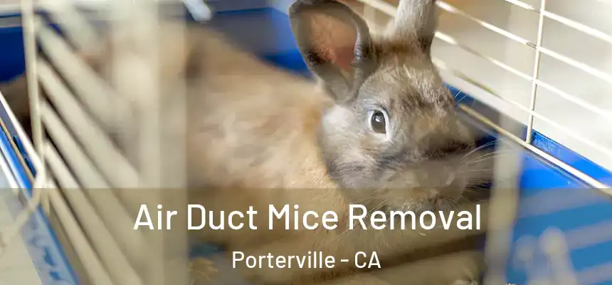 Air Duct Mice Removal Porterville - CA