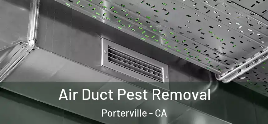 Air Duct Pest Removal Porterville - CA