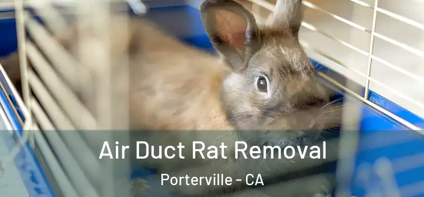  Air Duct Rat Removal Porterville - CA