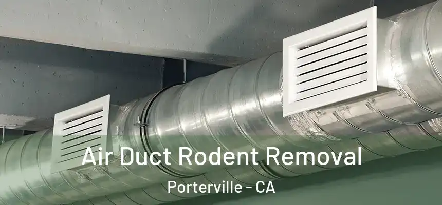 Air Duct Rodent Removal Porterville - CA