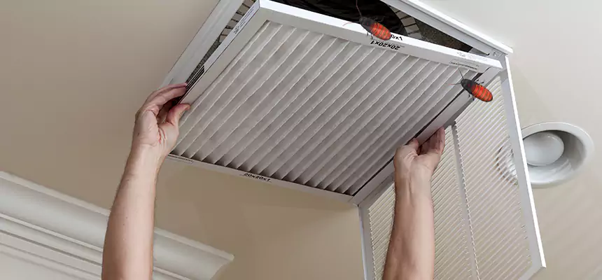 Preventive Cockroach-Proofing for Ducts in Porterville
