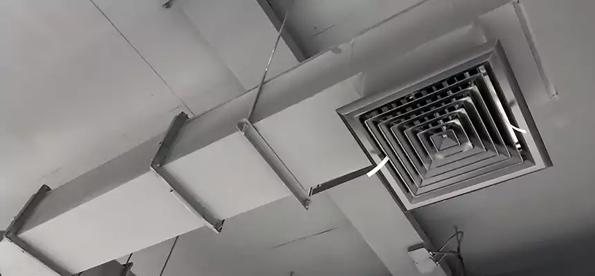 Our Rodent Droppings In Vents Services in Porterville, CA