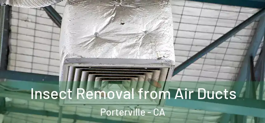 Insect Removal from Air Ducts Porterville - CA