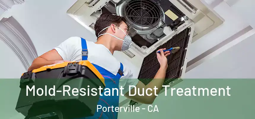 Mold-Resistant Duct Treatment Porterville - CA