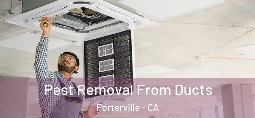 Pest Removal From Ducts Porterville - CA