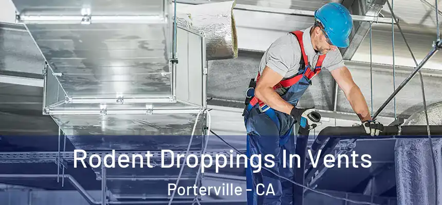 Rodent Droppings In Vents Porterville - CA