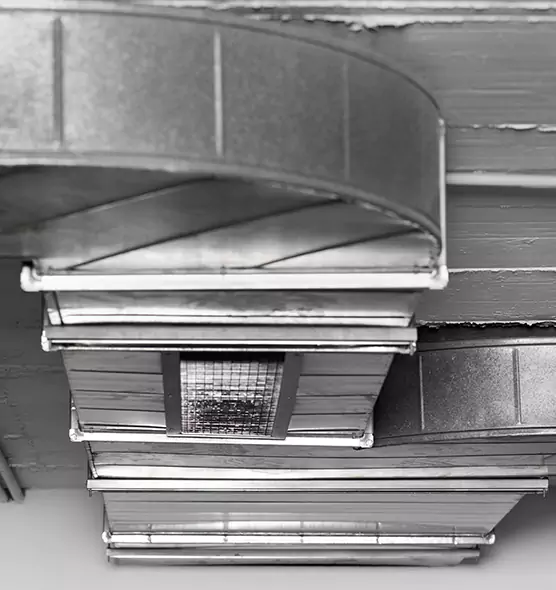 Professional Air Duct Pest Removal in Porterville, CA