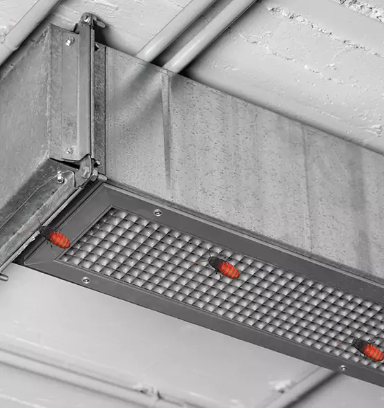 Affordable Insect Removal from Air Ducts in Porterville, CA