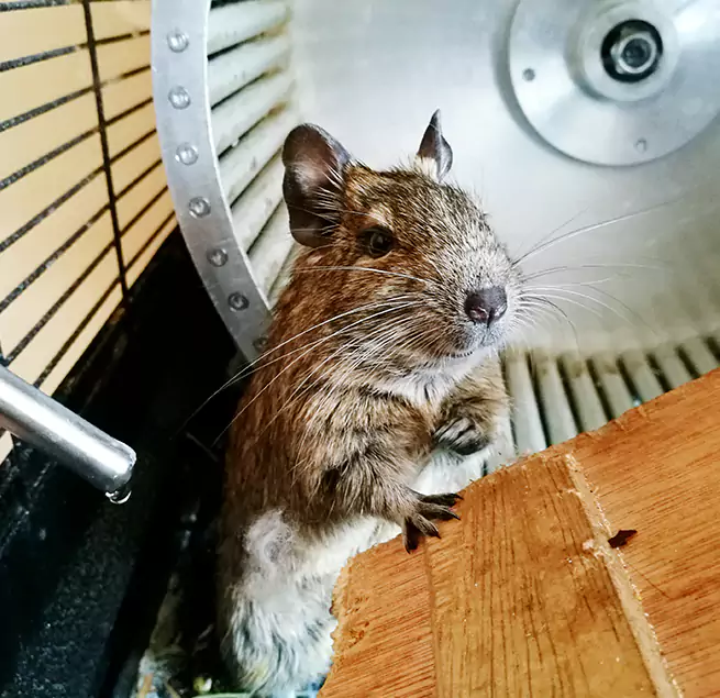 Why Homeowners & Businesses Trust Us Porterville, CA?