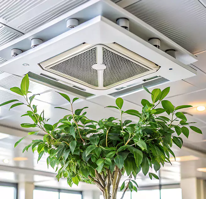 Why Homeowners & Businesses Trust Us in Porterville, CA?